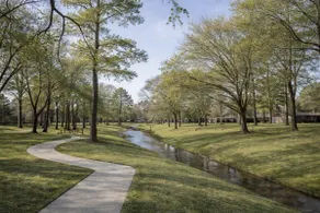 Beaufort Way Is The Perfect Stay - Image 5