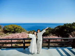 Ocean view/Children free/BBQ (indoor & outdoor)/Theater karaoke/14 people/1 building private/LDK 78 ㎡ - Image 2
