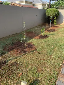 Modern home in Pretoria - Image 4