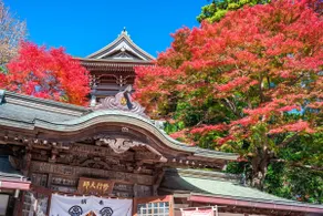 Takao Mountain is just around the corner! Elegant and relaxing space for up to 4 people 1LDK - Image 2