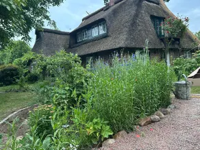 Bischoff thatched cottage - Image 3