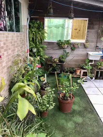 Complete Kitnet and Covered Garage - Image 2