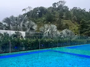 Praia Brava - Itajaí, SC - Image 5