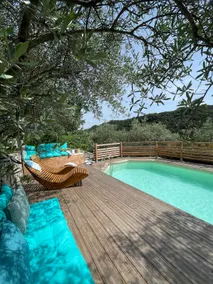The Garden of Olives - Image 3