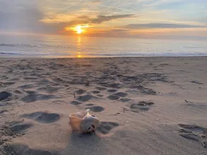 OBX beach steps away, ocean views, prvt pool, hot tub, game room & dog friendly! - Image 3