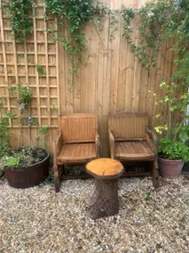 Little oak - Image 5
