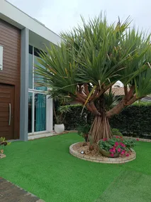 high-end house - Image 2