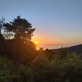 Elba Retreat • Sea View & Pool in Procchio - Image 4