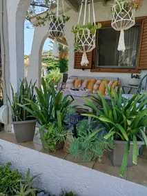Gal House - Image 4