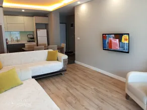 Apartment 2. Living room + kitchen + bedroom - Image 4