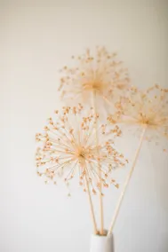 Lockehaven Living - Image 5