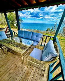 A night in the pine forest with a sea view. - Image 3