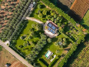 Historic villa in the heart of the Terre del Negroamaro area - Image 5