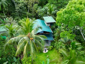 An immersive experience in the Osa rainforest - Image 2
