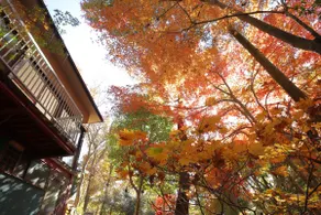HAT National Park, experience traditional house - Image 2