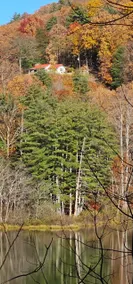 Skywatch Cabin on 55 quiet wooded acres - Image 2