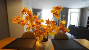 Juan's Apartments, Gober Studio - Image 4