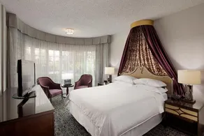 Convenient Shuttle to Disneyland - Stay in Style! - Image 2