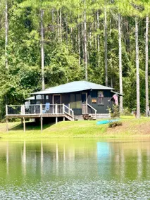 81 Pines 1-The Cabin - Image 2