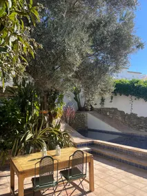 Casa del Olivo Viejo - Image 3