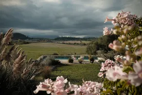 Green View - Image 4