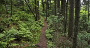 Private Trail into Table Rock - Image 3