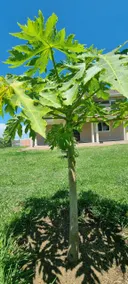Casa Nadreya Furnished Home Nakuru - Image 5