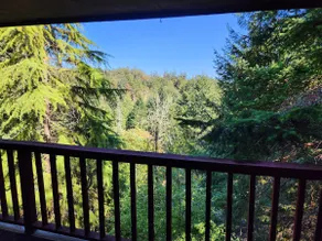 The TreeHouse Cabin! Private&Tranquil - Image 3