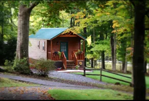 The Half Pint at Blue Jar Farm - Image 4