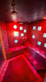 Nature Spa Refuge • Steam Sauna • Hot Tub • Plunge - Image 3