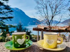 Lake view and shared garden, Lugano 5* - Image 5
