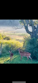 Country Getaway - Image 4