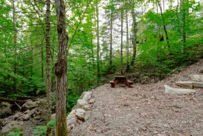 The Scandinnove - Image 4