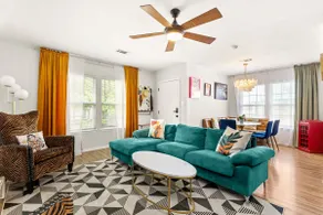 3BR Light-filled, pet-friendly central Austin home - Image 3