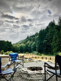 5 acr, hot tub & sauna w/alpacas, close to town - Image 3