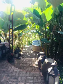 Nature hot spring house &garden - Image 4