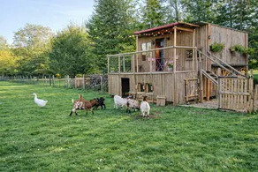 Le Cabanon - Image 3