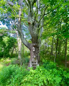 Between the Dams - Image 5