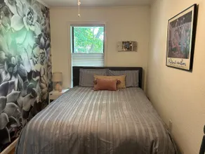 Pet Friendly Paradise - Image 5