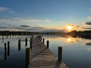 Baydream Believer -Chesapeake Bay water community - Image 4