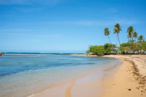Beautiful Dorado Villa Golf & Lake Views - Image 5