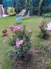 Maison Jardin - sleeps 5 - 45 min from the Eiffel Tower - Image 5