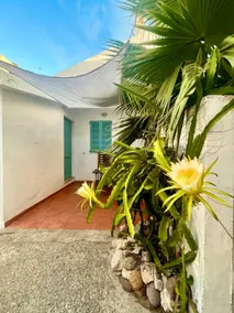 La Bianca, beach and center on foot. - Image 4