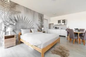 Natura Apartment Klínovec - Image 3