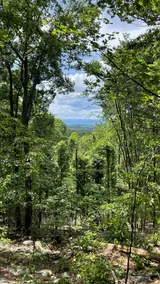 Shenandoah Hideaway | Hot Tub & Mountain Views - Image 5