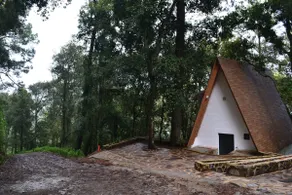 A real dream cabin - Image 4