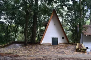 A real dream cabin - Image 2