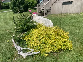 B&M Cozy Cottage - Image 4