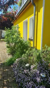 Natur an Metropole - Image 2