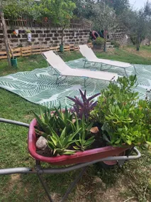 villa antichi flavors of home - Image 5